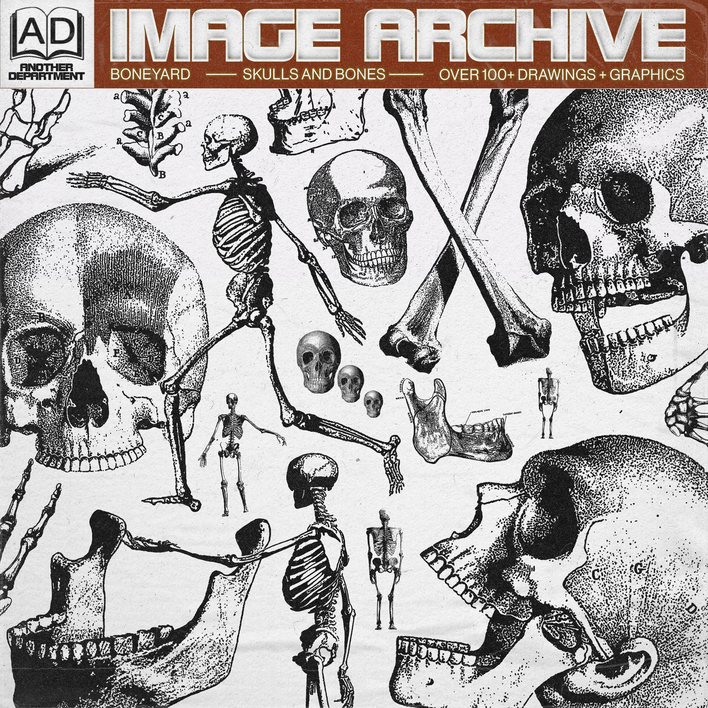 IMAGE ARCHIVE™ - Boneyard